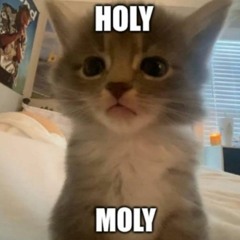 𖦹  ̫𖦹 YIPPPPEEEEEEE ʚ𖦹ɞ