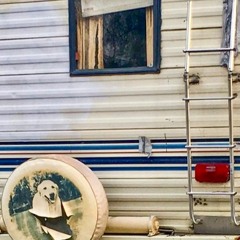 You're Just Yourself (2008 demo)