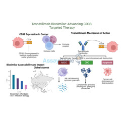 Tesnatilimab_ Unveiling the Potential of Anti-CD47 in Cancer Research