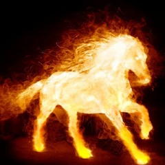 Orbite Séance - Dark Records Studio