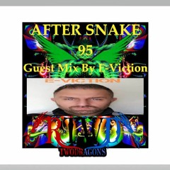 AFTER SNAKE 95 "Back To The Dock Guest Mix Techno By E-Viction" Radio TwoDragons 12.6.2022
