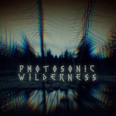 Djandy - Photosonic Wilderness (mixtape)