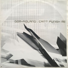 Dom & Roland - Punish Me Remix