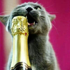 champagne fantasy (with mike and me)