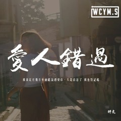胖虎 - 愛人錯過「我肯定在幾百年前就說過愛你，只是你忘了 我也沒記起」【動態歌詞/pīn yīn gē cí】