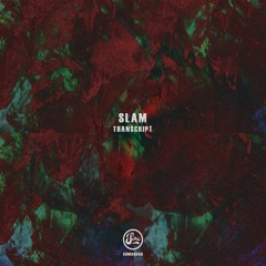 Premiere: Slam - Let Go [SOMA643D]