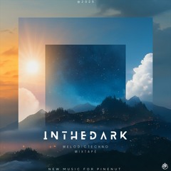 Mixstape Ep1. "IN THE DARK' Prod. Pinenut