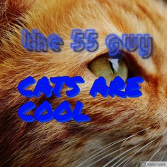 The55 Guy - Cats Are Cool (mastered)