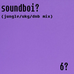 soundboi? (jungle/ukg/dnb mix)