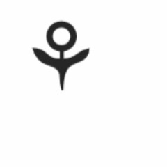 To Aleksander @ Ravnjuv (YX Chocolate)