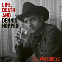 I Don't Know How I Made It (feat. Taylor Goldsmith)