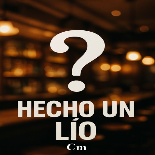 Hecho un lio