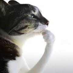 Thinking