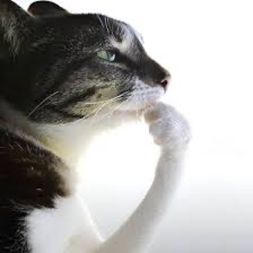 Thinking