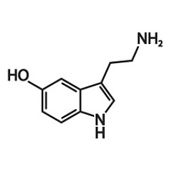 serotonin
