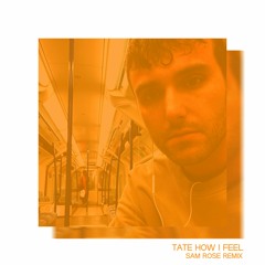 Fred Again.. - Tate (How I Feel)(Sam Rose Remix)