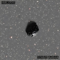 AN PREMIERE 209 | Maloog - Tempus Chao [Maloog]