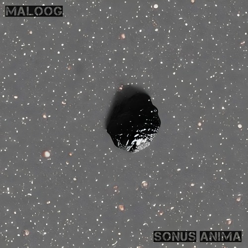 AN PREMIERE 209 | Maloog - Tempus Chao [Maloog]