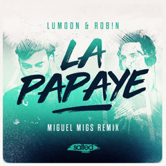 La Papaye (Miguel Migs Salted Dub)