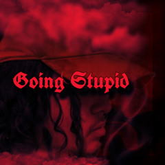 Going Stupid