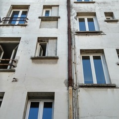 Enjambre (cuarto jardín ciego)