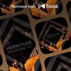 Hermitude - The Buzz (@djrax33 Hook Remix)