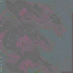 Premiere: Francesco Skip - Foxiness [GRID019]