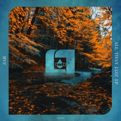 Zar Feat Diligent Fingers - Make It Through - Liquid Lab Forthcoming