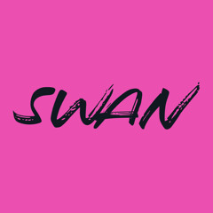 2023 PROMO MIX // SWAN