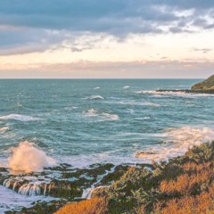 Following Love (Shallou - Pacifica Remix)