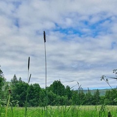 The Come Up Instrumental (ProdByZomB)