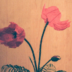 THE GATE OF MEMORY x HEAVEN LOOKS LIKE US (05/31)