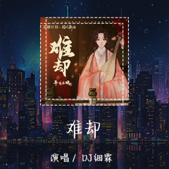 DJ细霖-难却 「台上悲欢皆我独吟唱」 【動態歌詞/pīn yīn gē cí】