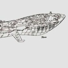 sorry, it was just a dream