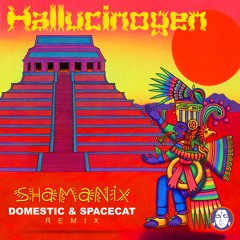 Hallucinogen - Shamanix (Domestic & Spacecat remix) SC edit