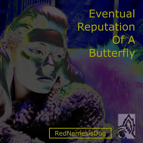 Eventual Reputation Of A Butterfly