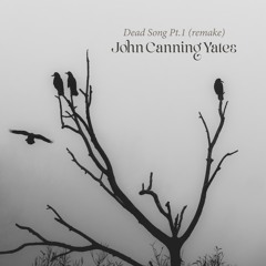 JOHN CANNING YATES : Dead Song Pt.1 (remake)