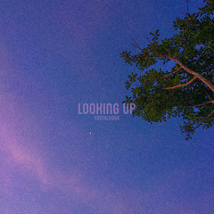 Looking Up