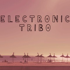 electronic tribo 2