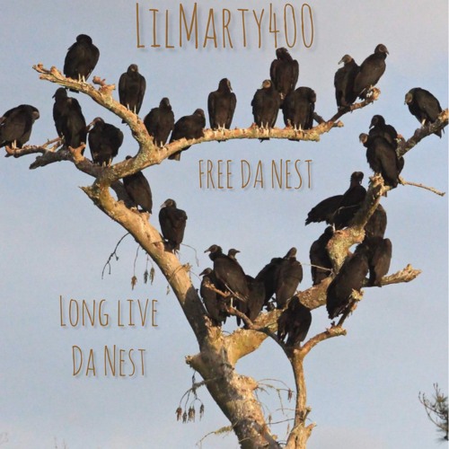 LilMarty400-In That Gear