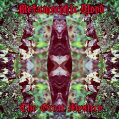 Metamorphic Blood - The Great Mystery