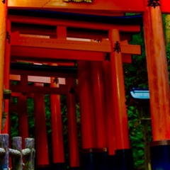 Japan Way