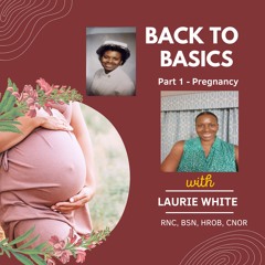 Back to Basics - Part 1 (Pregnancy)