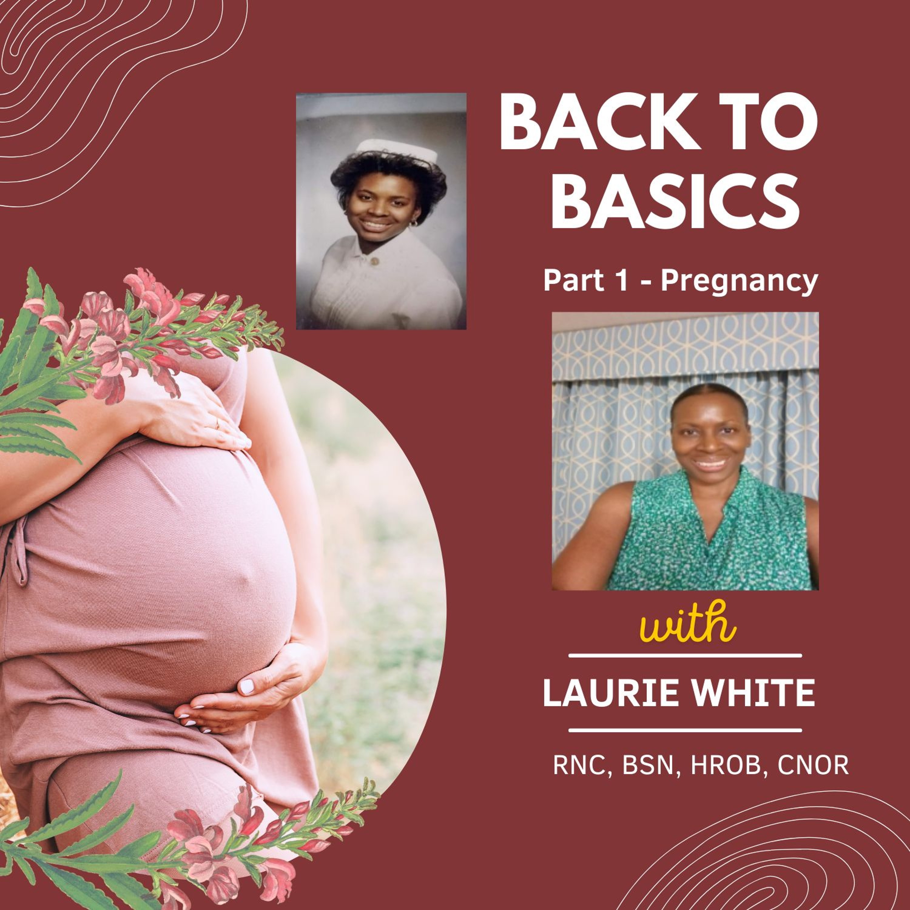 Back to Basics - Part 1 (Pregnancy) episode artwork