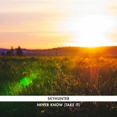 Skyhunter - Never Know (Take It)