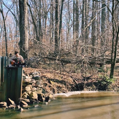 Slowdive- Dagger cover by the creek