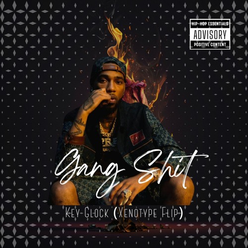 Key Glock - Gang Sh!t (Xenotype flip)