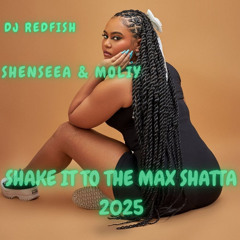 Dj Redfish X Shenseea X Moliy - Shake It to The Max Shatta 2025
