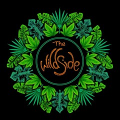 Live at The Wild Side