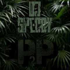 P2P 1 Year Mix - Dj Speccy
